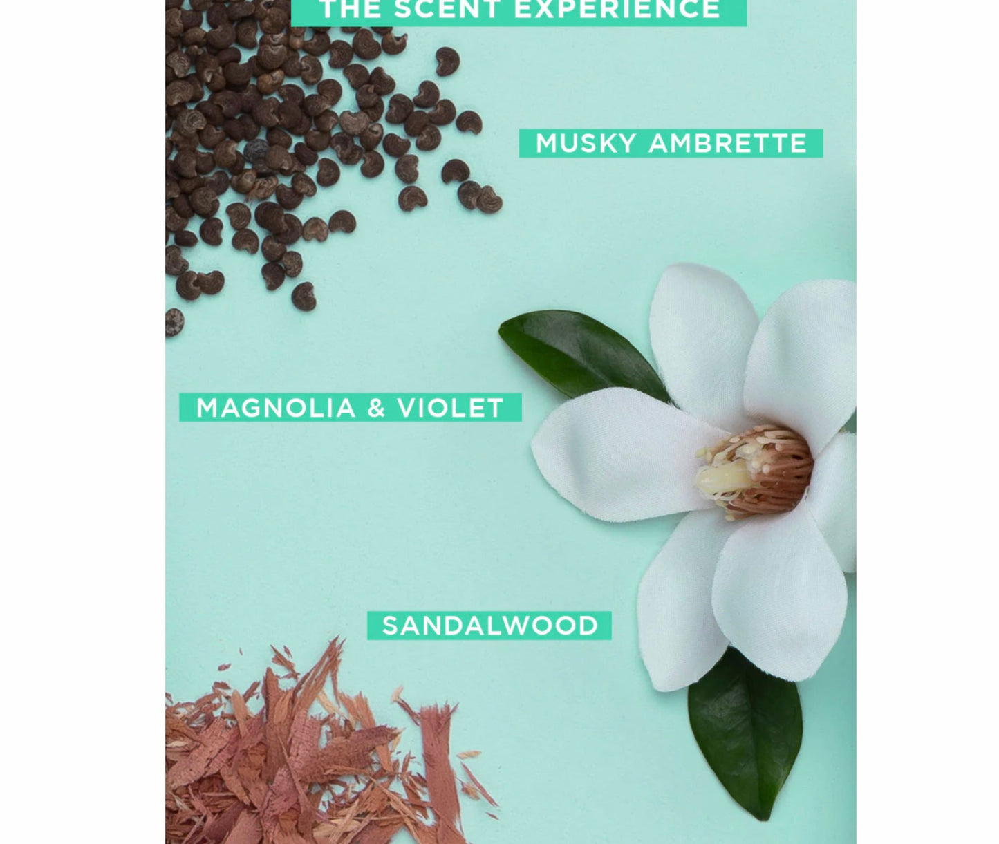 GLOSS.ME Hair In The Clouds HYDRATION KIT