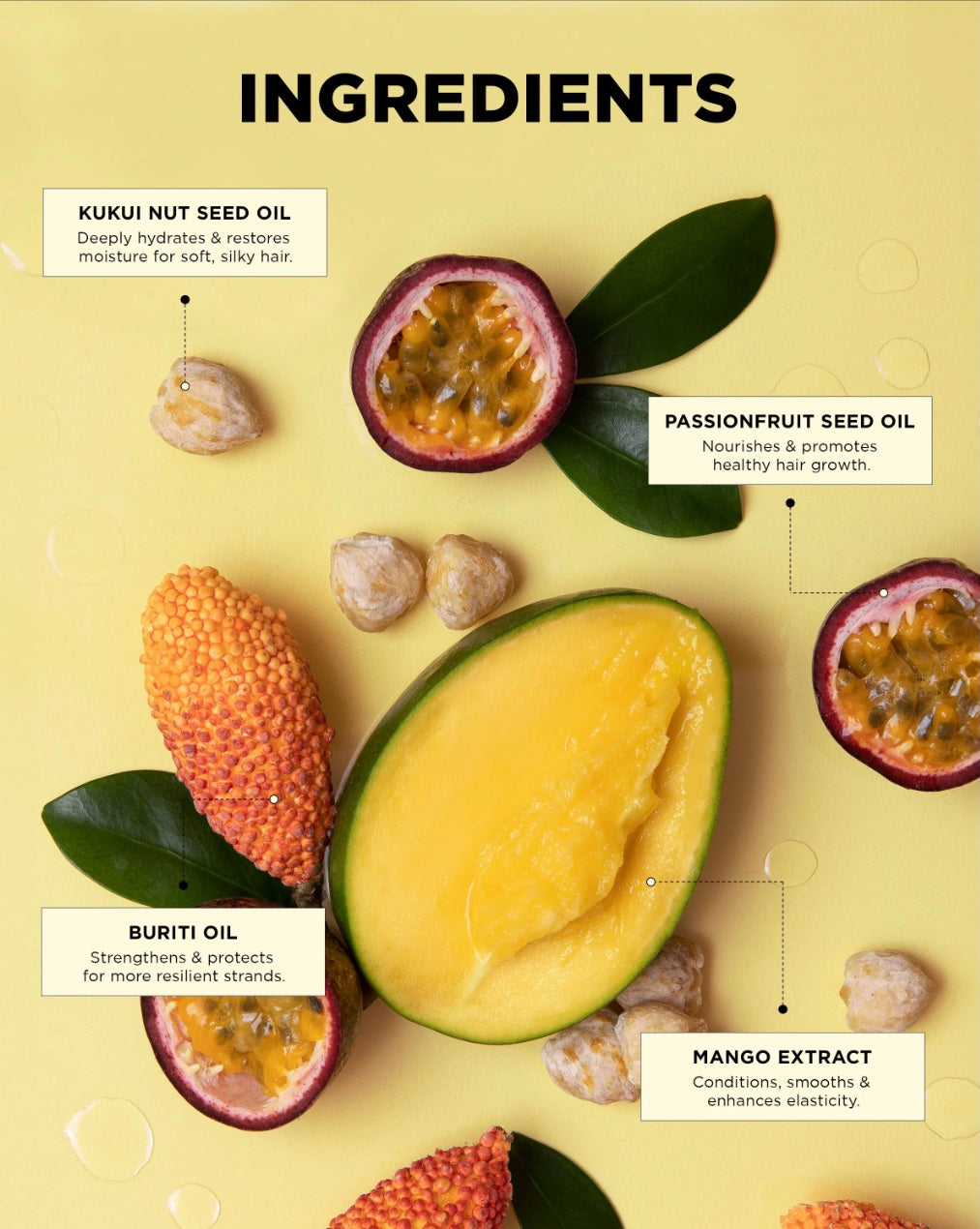 BOUNCE.ME Curl Mane Character KIT